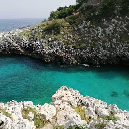 Limonaia In Salento Villa มาริตติมา ภายนอก รูปภาพ