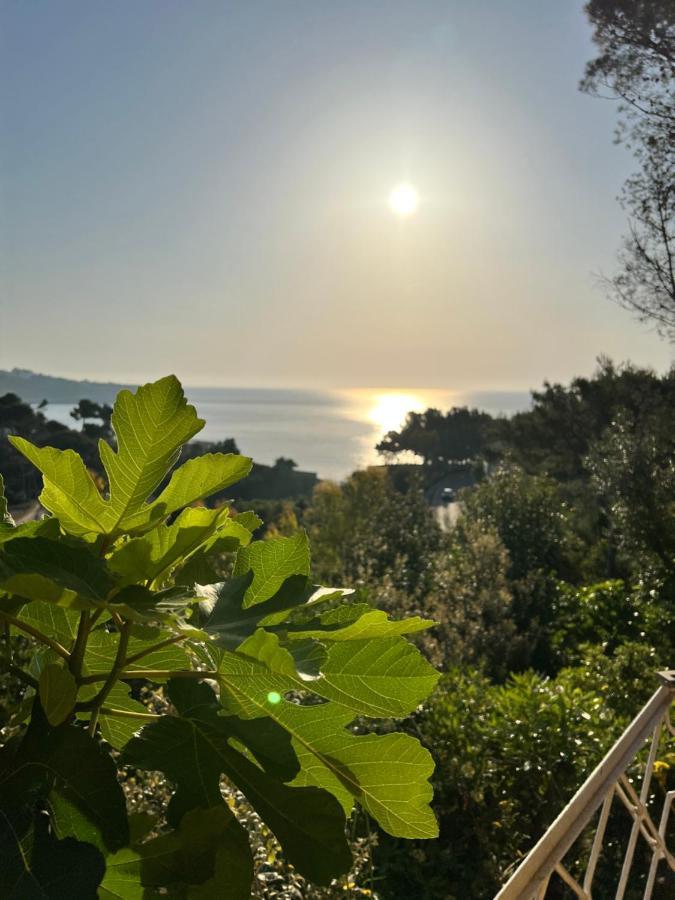 Limonaia In Salento Villa มาริตติมา ภายนอก รูปภาพ