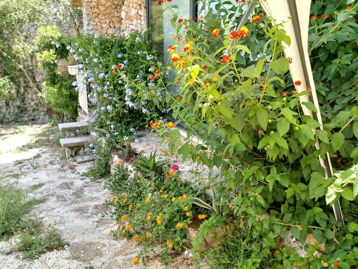 Limonaia In Salento Villa มาริตติมา ภายนอก รูปภาพ