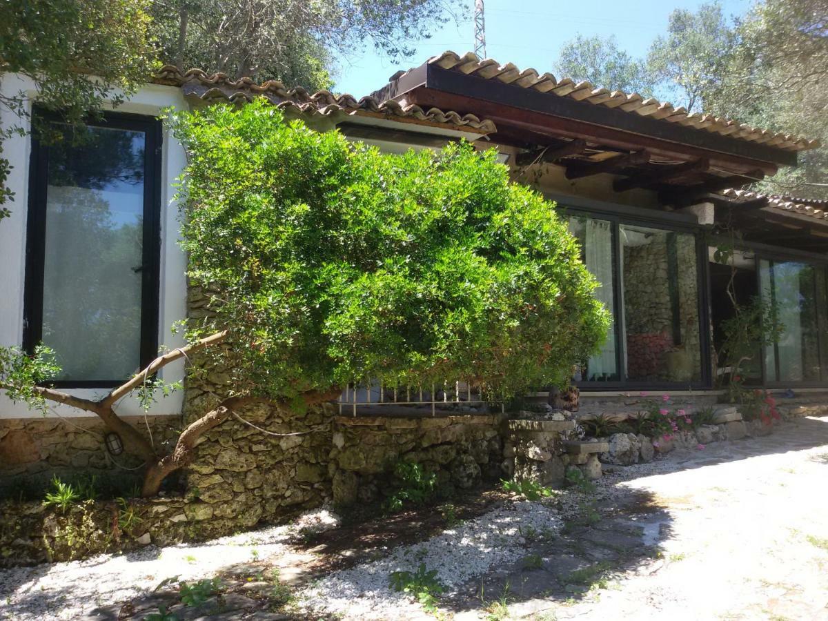 Limonaia In Salento Villa มาริตติมา ภายนอก รูปภาพ